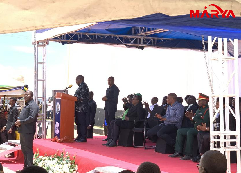 Tanzanian Clients Vial Rempliling Line Project6