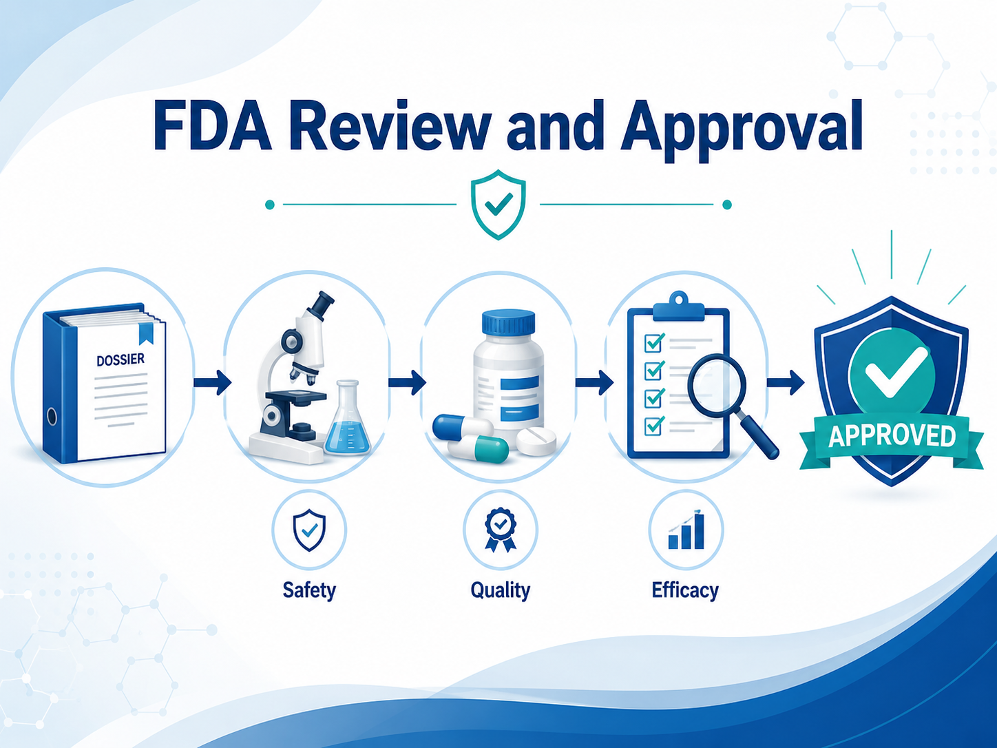 Examen et approbation de la FDA